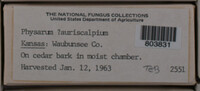 Image Associated With the Occurence